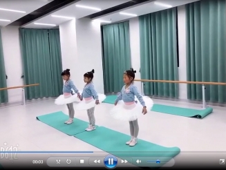 天鹅湖教学视频展示